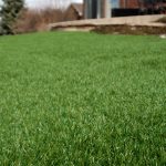 Clean Artificial Grass